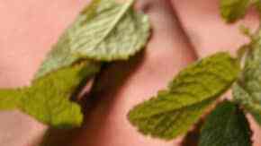 Volcán de chocolate