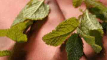 Volcán de chocolate