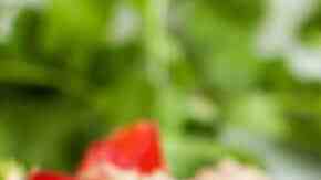 aguacates rellenos de atún