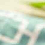 burritos de huevos con nopal