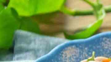 ceviche de champiñones