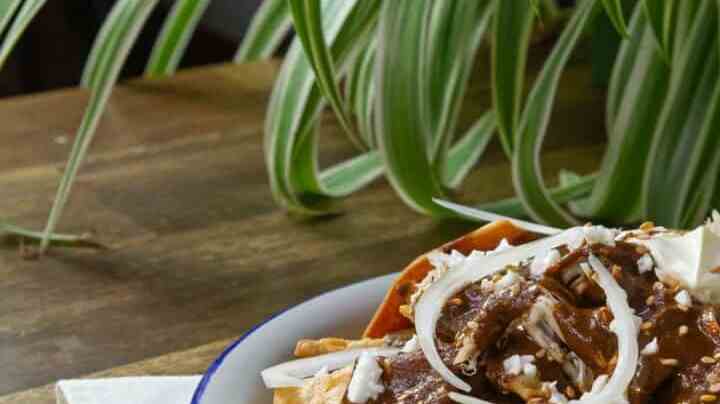 chilaquiles de mole