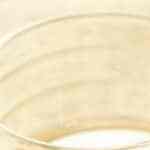 costilla con miel y naranja