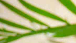 ensalada con pasta, uvas y vinagreta de frambuesa