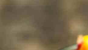 bol de vidrio con ensalada de maíz con pepino