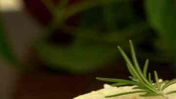 escalopes en salsa de tomate y arroz