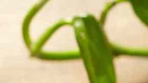 frijoles charros con chicharron