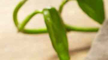 frijoles charros con chicharron