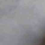 Palitos de berenjena al horno