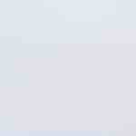 plato con pollo desmechado