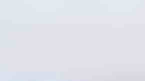 plato con pollo desmechado