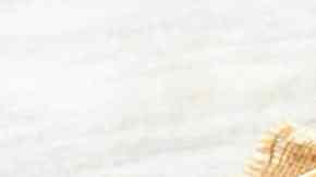 quesadillas de puerco en adobo de Jaimaica