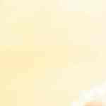 solomillo de cerdo en escabeche