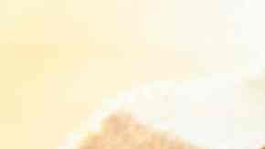 solomillo de cerdo en escabeche