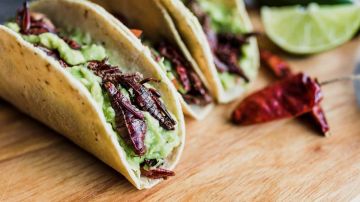 Tacos de chapulines