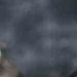 tortilla de aguacate