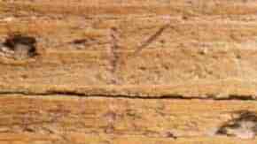 trufas de chocolate con avellanas