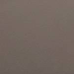 Gallo pinto de Costa Rica