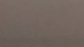 Gallo pinto de Costa Rica