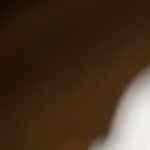 BAtido de vainilla con chocolate