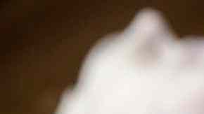 BAtido de vainilla con chocolate