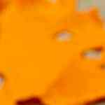 Momias de salchichas y frankentoast