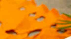 Momias de salchichas y frankentoast