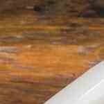 Pollo a la vinagreta