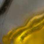 Ravioles rellenos de calabaza