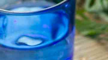 wrap de pavo recalentado con queso