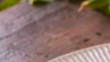 Caballa en salsa de tomate