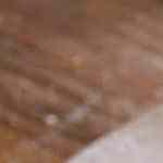 camaronas a la moranga