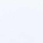 Carne en salsa de ostra