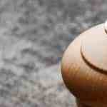 escalopines a la crema