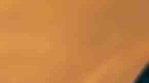 Pollo salteado con salsa de soya