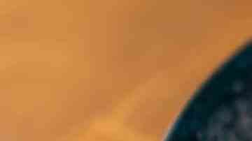 Pollo salteado con salsa de soya