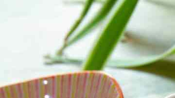 pozole blanco de puerco