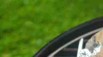 Filete de salmón empapelado a la parrilla