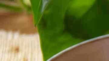 Sopa de tomate con arroz