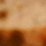 ricas tostas de guacamole