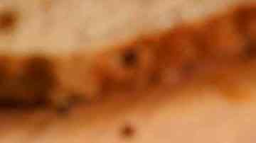 ricas tostas de guacamole