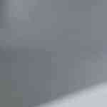 Arroz chaufa con cerdo