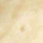 Salsa de chile de árbol