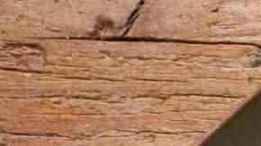 polenta con setas y queso