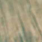 delicioso bocadillo de chorizo