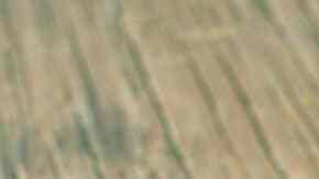 delicioso bocadillo de chorizo