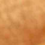 chuletas en salsa blanca