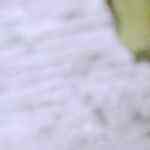 ensalada de pepino y nueces