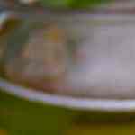 Hamburguesa de pollo frito