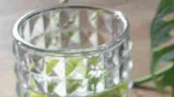 hot dog a la mexicana